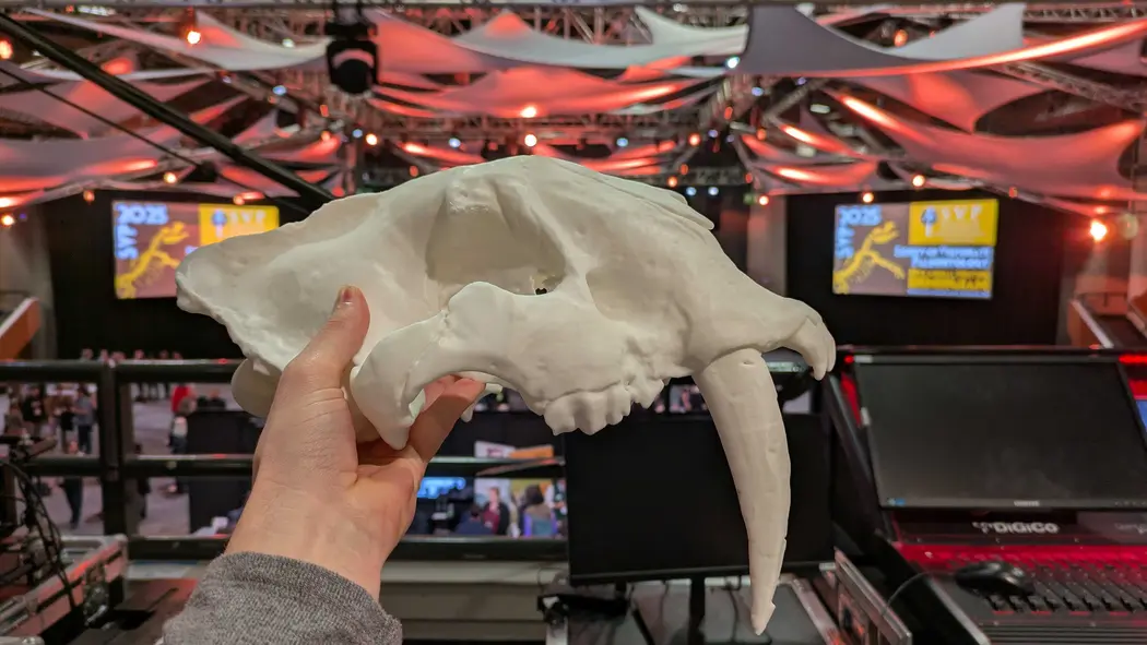 مدل جمجمه دندانسور