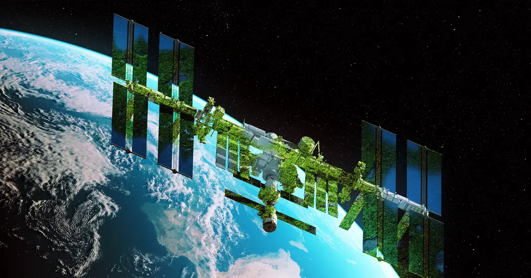 مطابق یک مقاله جدید، خزه می‌تواند چند ماه در معرض محیط سخت فضای بیرونی بقا پیدا کند.