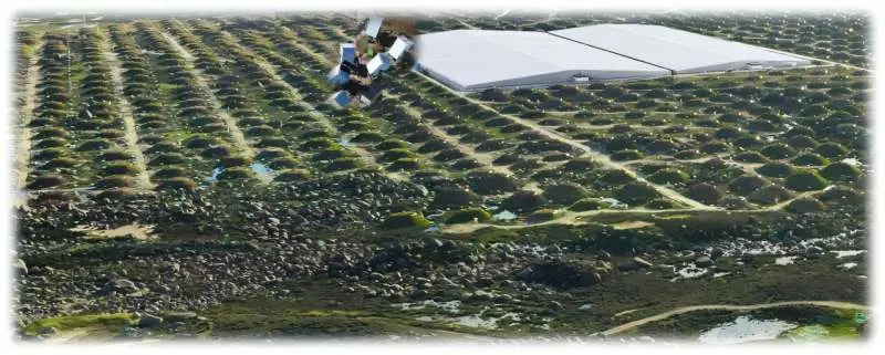 LHAASO راز شکلگیری «کنی» پرتوهای کیهانی را کشف میکند