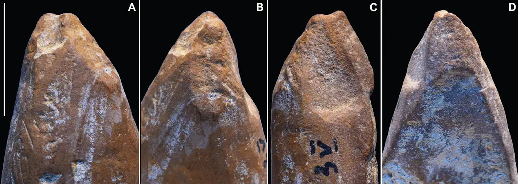 تصویر یک سنگ نوک‌تیز قهوه‌ای-قرمز از چهار زاویه