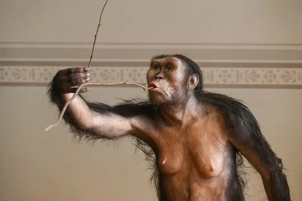 چک-اتیوپی-علم-تاریخ-لوسی