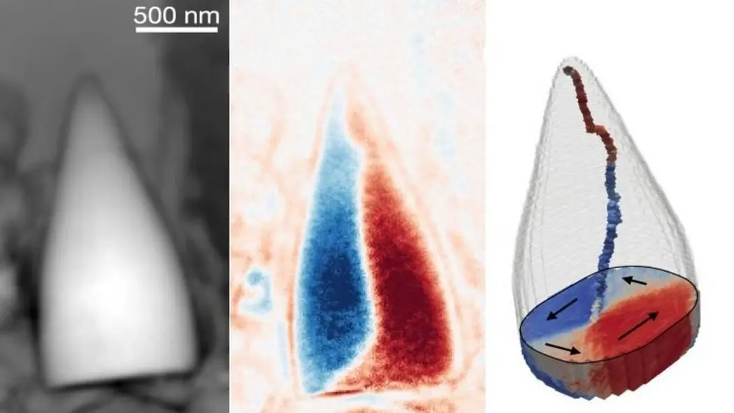 سه تصویر کنار هم از یک فسیل به شکل دندان با رنگ‌های مختلف که جهت مغناطیسی را نشان می‌دهد