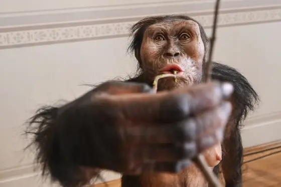 «استخوان‌های لوسی برای اولین بار در اروپا نمایش داده می‌شوند»، نخست‌وزیر پتِر فیالا به خبرنگاران گفت و اعلام کرد که موزه ملی اتیوپی این امانت نادر را به‌دست آورده است.