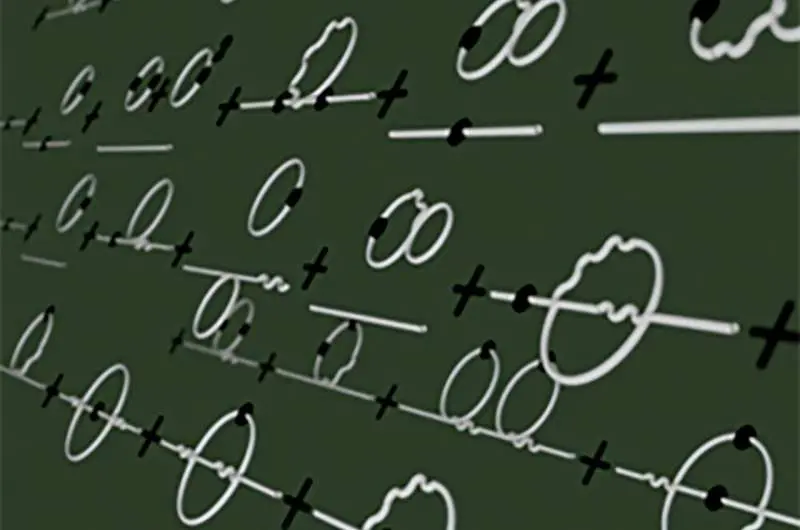 یافتن اطلاعات در بی‌نظمی مادهٔ زنده