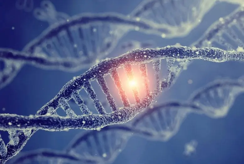 مفهوم جهش‌های ژنتیکی