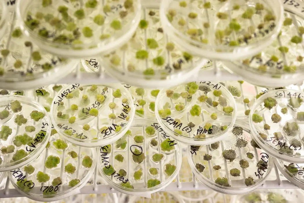 تصویر برتر: بریتانیا، کشاورزی، فناوری، علم