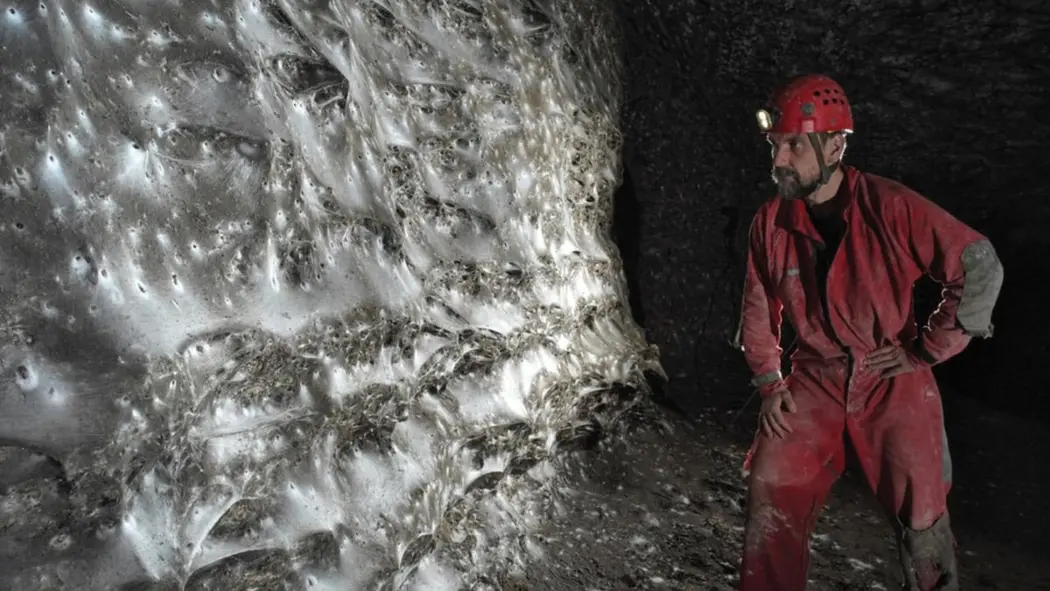 محققان در داخل بزرگ‌ترین تار عنکبوت جهان