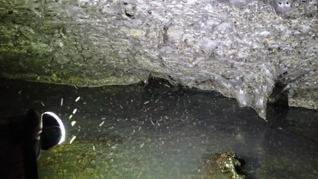 بزرگ‌ترین تار عنکبوت جهان