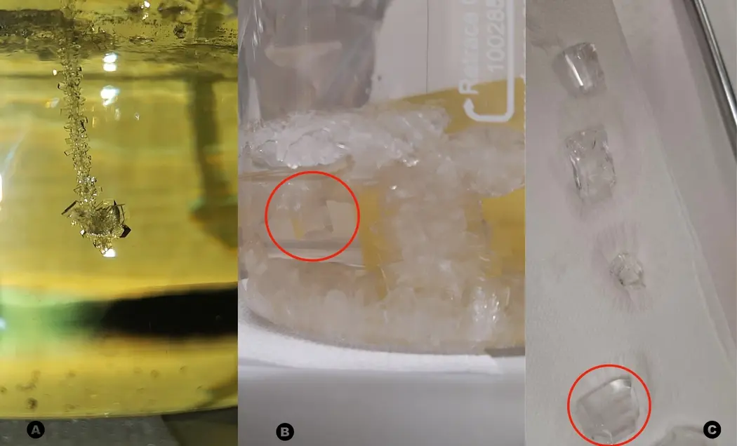 کریستال برجستهشده در دایره برای آشکارساز نمونه اولیه توصیفشده در این کار انتخاب شد.