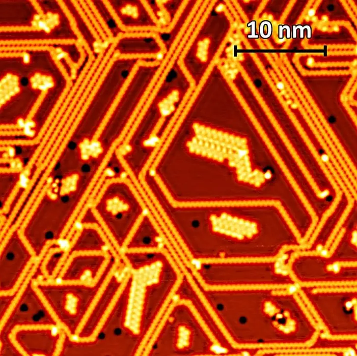 زنجیره‌های فسفر