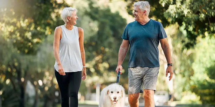 [آدوبی استاک]