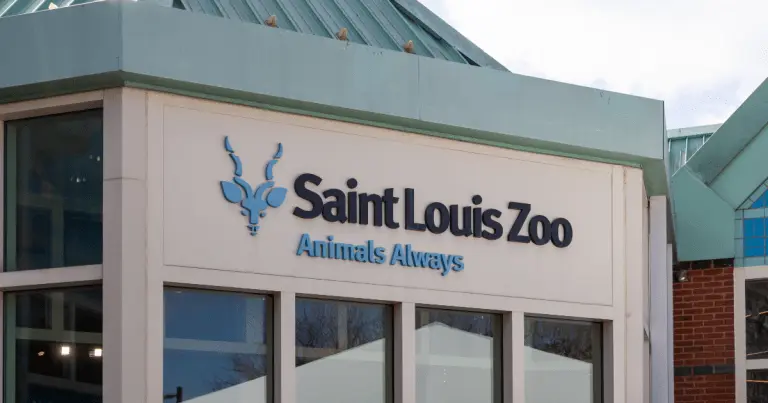 تابلوی باغ‌وحش سنت لوئیس با فونت مشکی بر روی دیوار ساختمانی عاجی‌رنگ با سقف سبز. زیر آن، یک تابلوی آبی روشن با نوشته «حیوانات همیشه در اولویت» در کنار تصویر یک غزال قرار دارد.