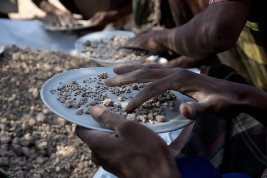 بسیاری از فسیل‌های آسترالوپتیکوس دییریمده تکه‌های کوچکی هستند که جمع‌آوری آن‌ها کار دقیقی می‌طلبد.