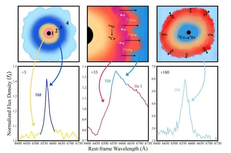 مطالعه به بررسی طبیعت یک ابرنوا غیرمعمول انتقالی می‌پردازد