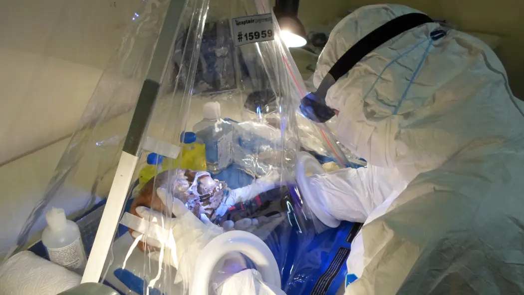 فردی در لباس تمیز که جمجمهٔ انسانی را از طریق پردهٔ شفاف پلاستیکی دست می‌زند