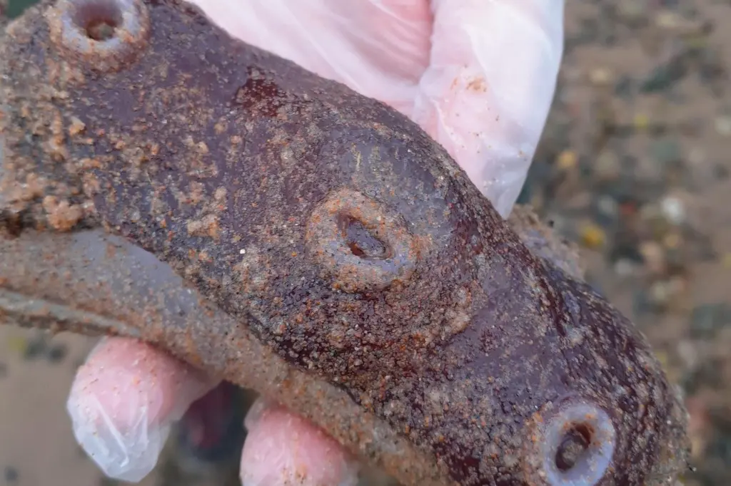 رشتهٔ غول‌پیکر.