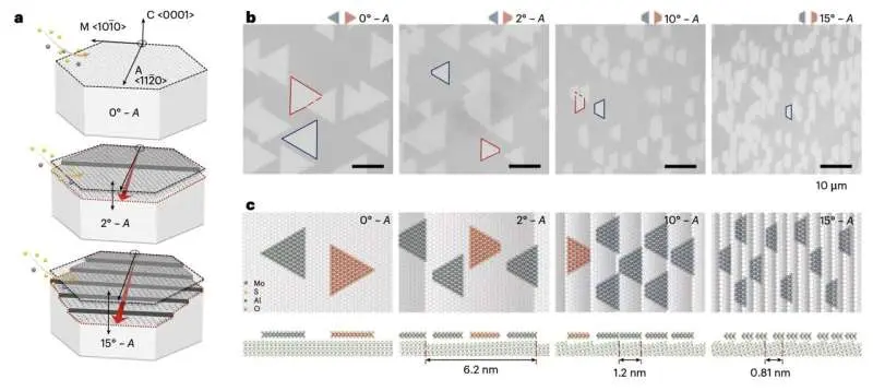 استراتژی برای به‌حداقل‌رسانی نقص‌ها و تسهیل حمل‌ونقل کوانتومی همدست در نیمه‌رساناهای تک‌لایه تک‌کریستالی