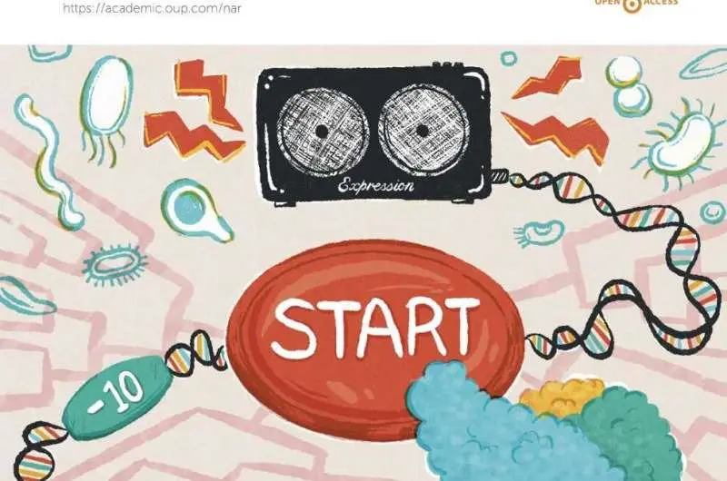 منشاء تکاملی مشترک معماری پروموتر