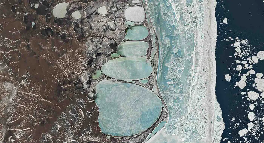 انسان برفی سیبری