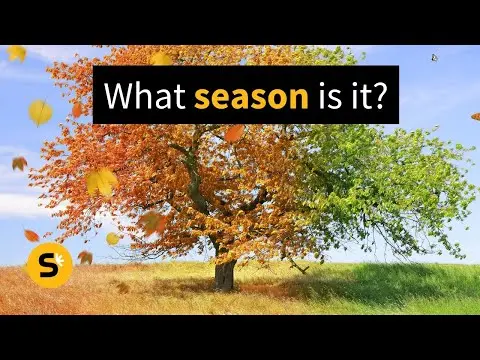 تصویر بندانگشتی یوتیوب