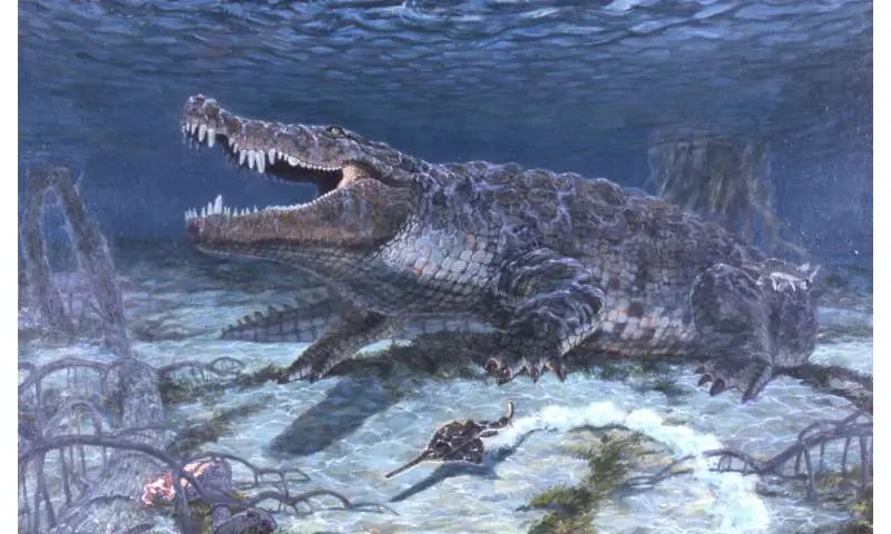جستجوی چنددهه‌ای شویمِر به اولین بازسازی علمی دقیق فسیلی از تمساح «کشتارگر دایناسور»