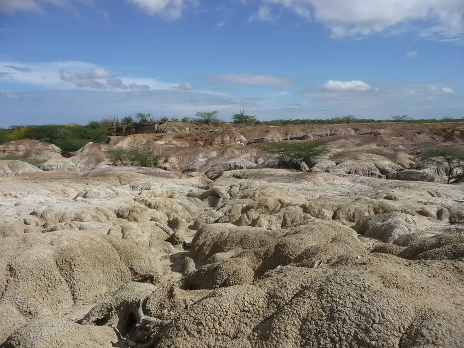 محل فسیلی در اوروماکو، ونزوئلا