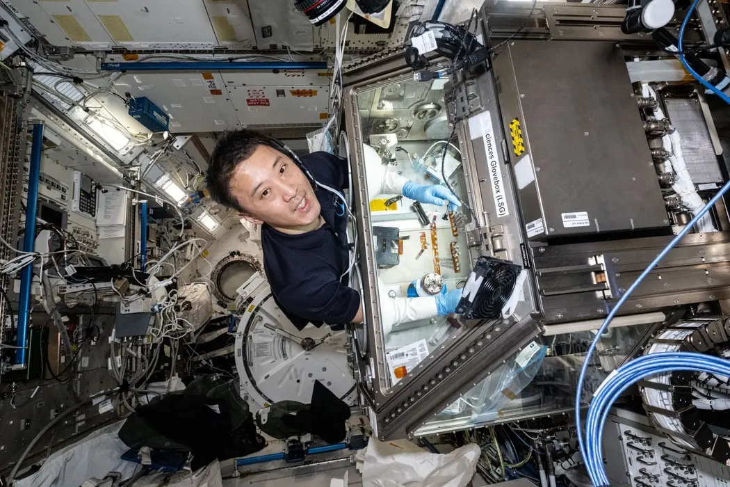 فضانورد ناسا، جوننی کیم، که پیراهن سیاه بر تن دارد، لبخند میزند؛ تصویر از بالا گرفته شده است. دستهای او درون یک جعبه دستکش شفافپوش گذاشته شدهاند؛ در اینجا دستهای او که در دستکش لاستیک آبی پوشیدهاند، آیتمهای کوچک استریل در بستهبندیهای کاغذی را دست میزنند. سیمها و تجهیزات الکترونیکی در دیوارهای اطراف ایستگاه فضایی مستقر هستند.