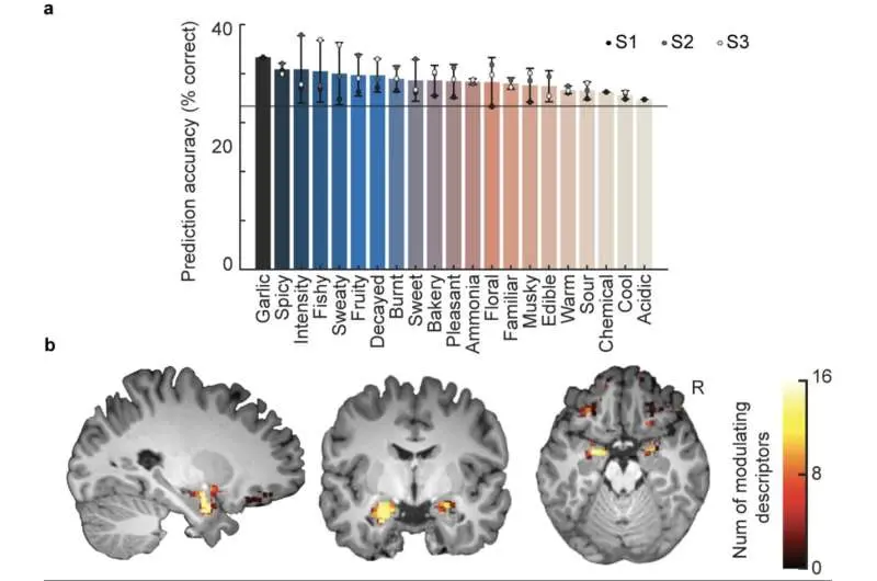 رفتارهای استنشاقی مردم میتواند پیشبینی کند که چه بویی را حس میکنند، مطالعه نشان میدهد